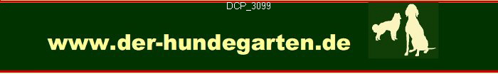 DCP_3099